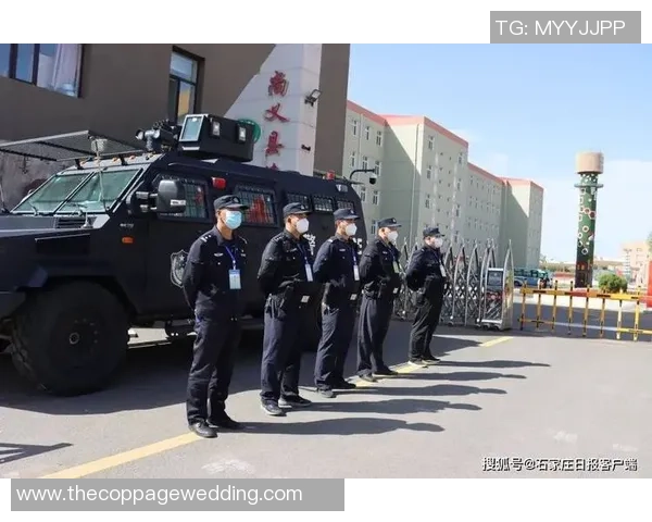 太阳赛场突发小插曲 裁判如何应对及时处理确保比赛秩序