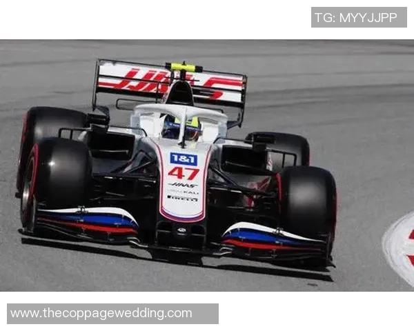 F1车手体能训练对赛季表现的影响及其机制研究